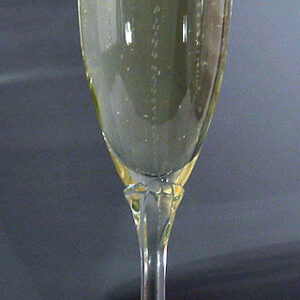 Water Dog Champagne Flute